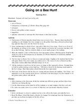 Going on a Bee Hunt