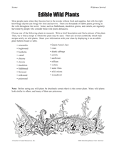 Edible Wild Plants